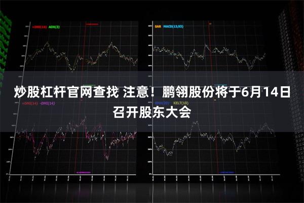 炒股杠杆官网查找 注意！鹏翎股份将于6月14日召开股东大会