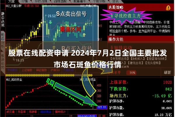 股票在线配资申请 2024年7月2日全国主要批发市场石斑鱼价格行情