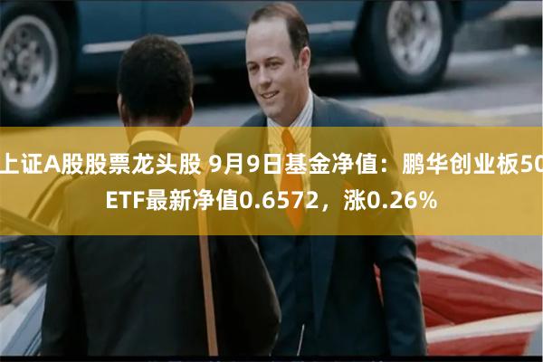 上证A股股票龙头股 9月9日基金净值：鹏华创业板50ETF最