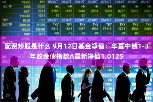 配资炒股是什么 9月12日基金净值：华夏中债1-3年政金债指