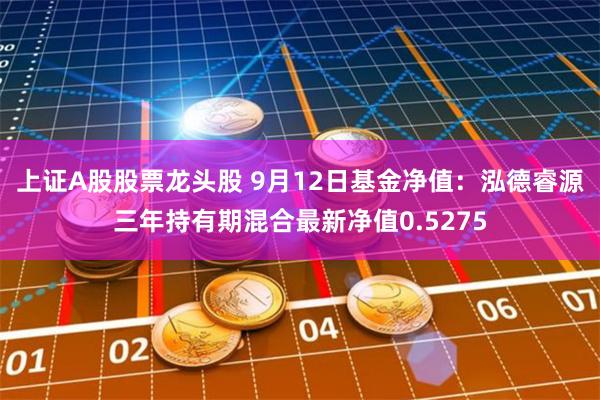 上证A股股票龙头股 9月12日基金净值：泓德睿源三年持有期混