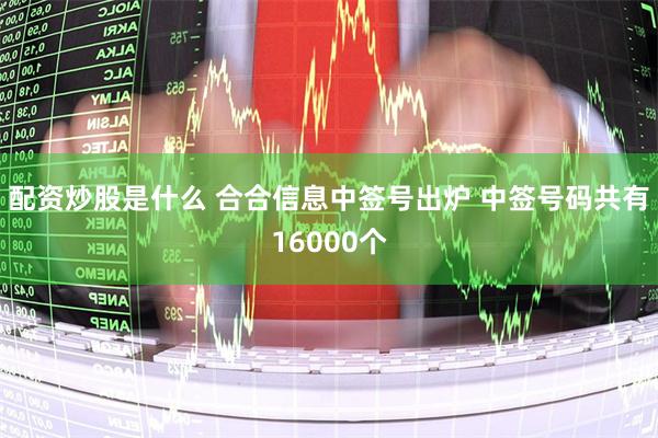 配资炒股是什么 合合信息中签号出炉 中签号码共有16000个