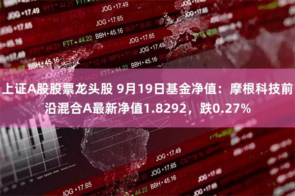 上证A股股票龙头股 9月19日基金净值：摩根科技前沿混合