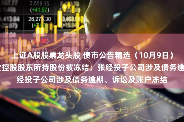 上证A股股票龙头股 债市公告精选（10月9日）|杉杉股份