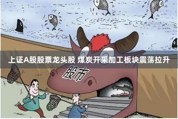 上证A股股票龙头股 煤炭开采加工板块震荡拉升